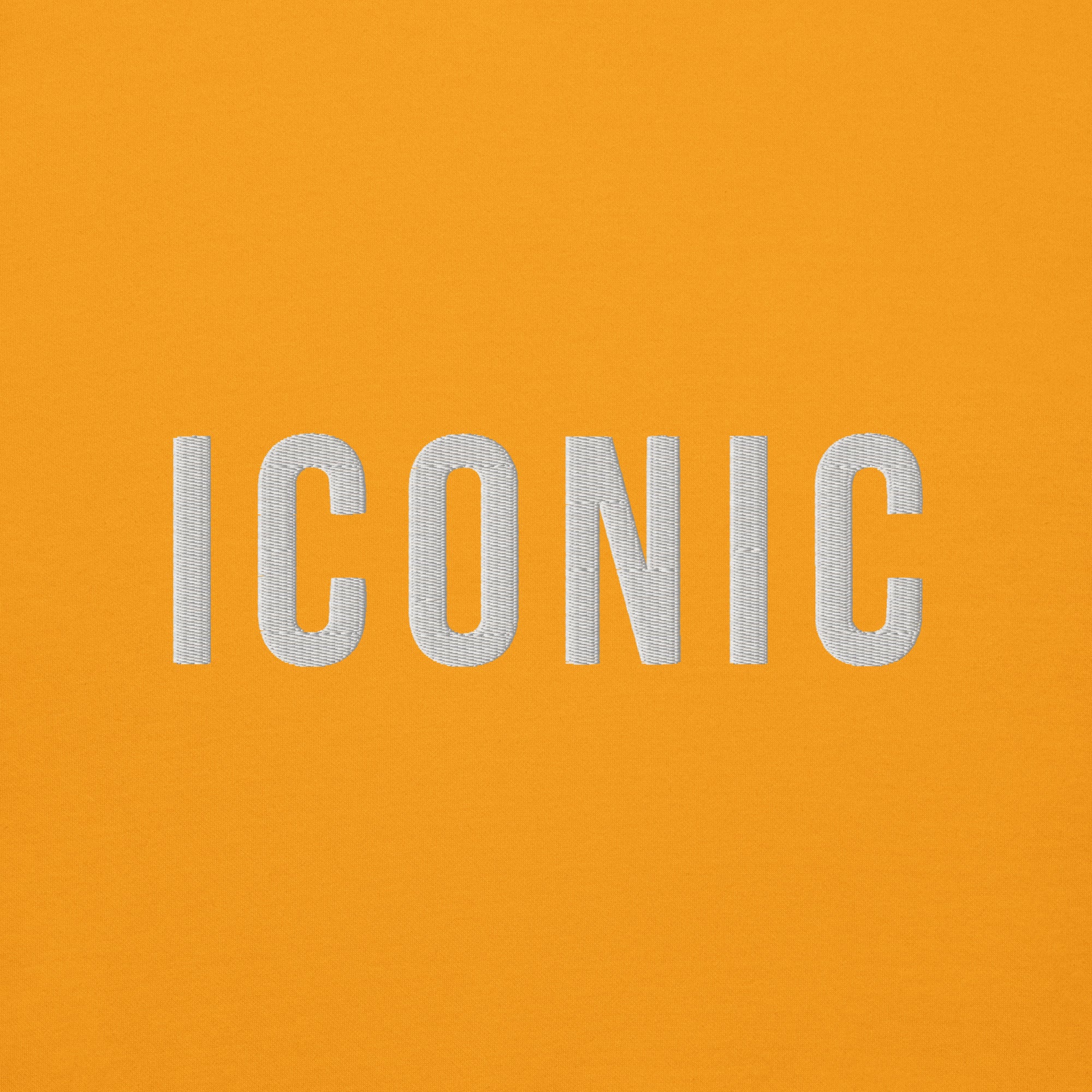 Iconic Hoodie